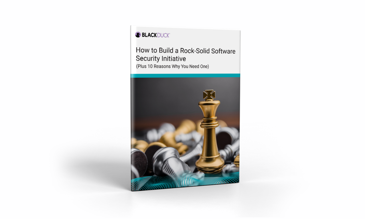 How to Build a Software Security Initiative